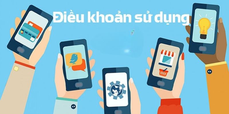 Hệ thống có quyền tự động chỉnh sửa và bổ sung